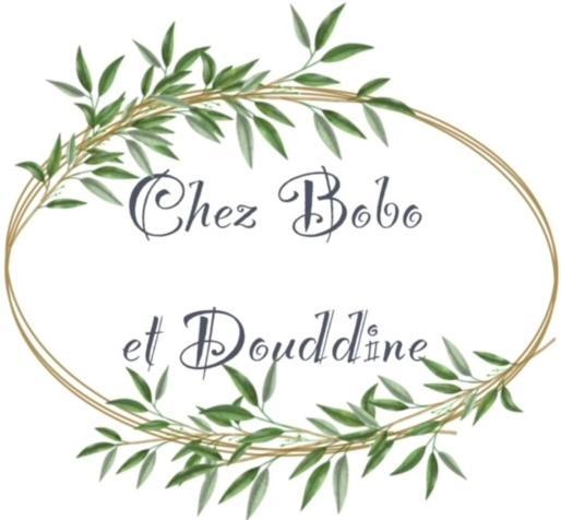 Chez Douddine Apartment Pont-du-Chateau